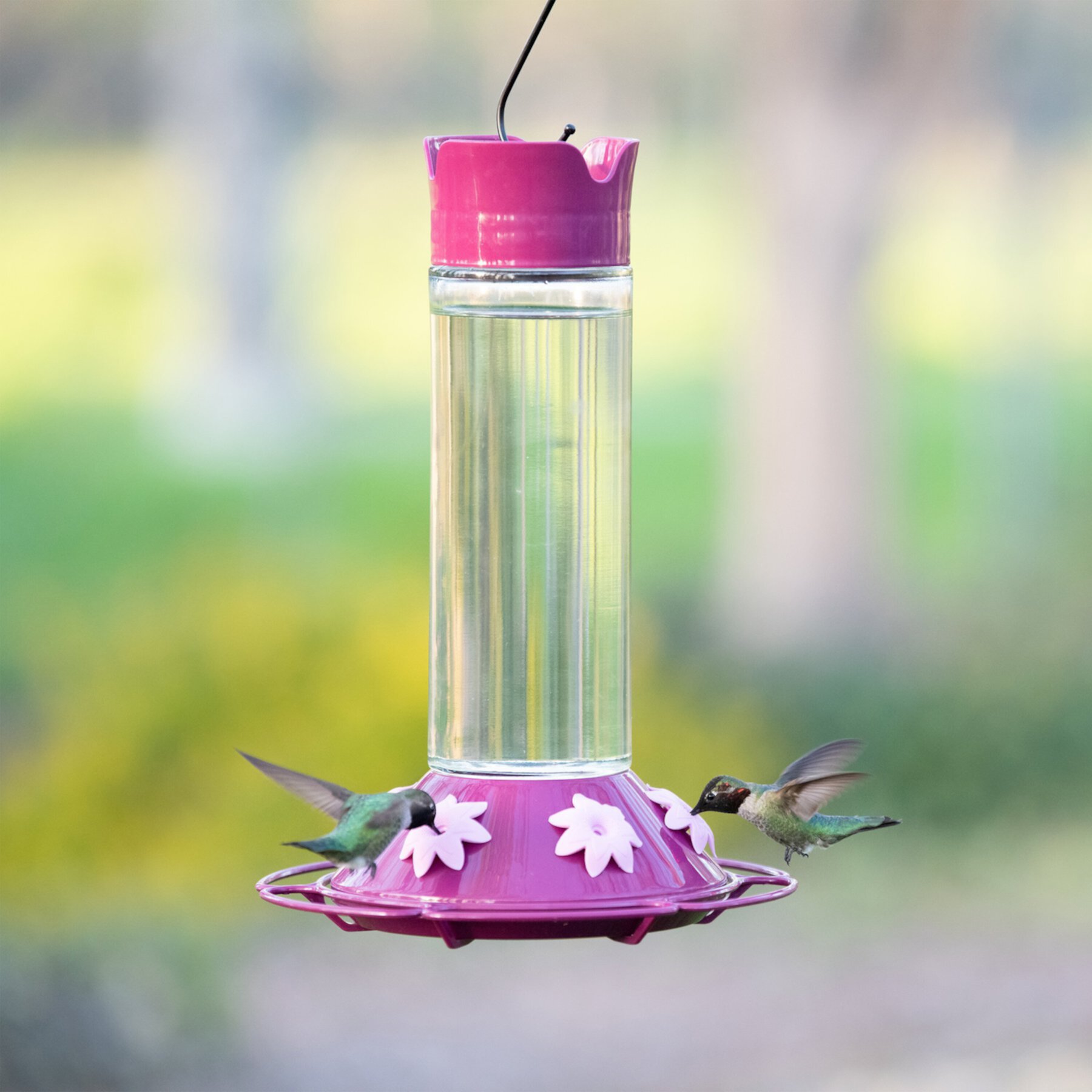 Perky-Pet Our Best Royal Berry Hummingbird Feeder Perky-Pet