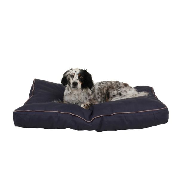 Solid Faux Gusset Jamison Indoor/Outdoor Bed Carolina Pet Company