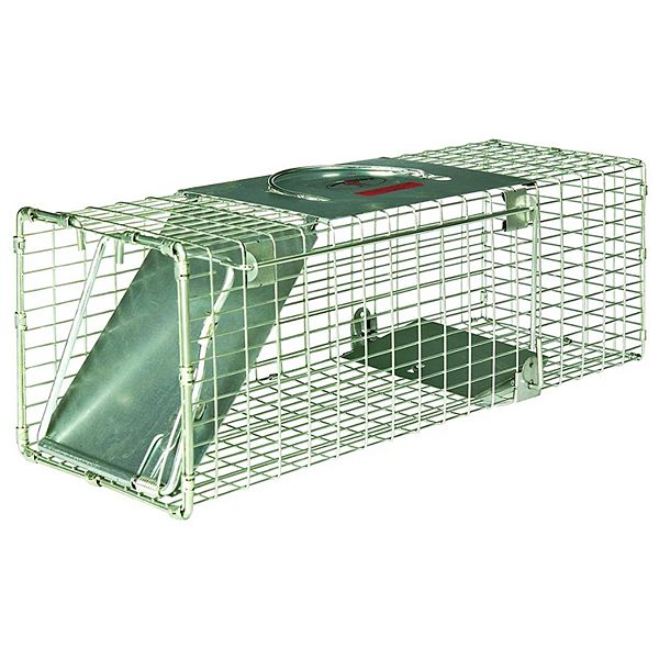 Little Giant LT1 18 Inch Reinforced Live Animal Trap with Single Door Entry Little Giant