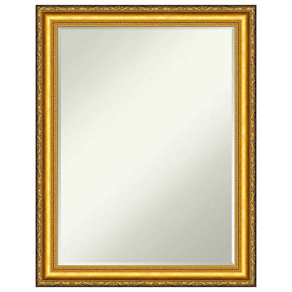 Colonial Embossed Gold Petite Bevel Wood Bathroom Wall Mirror Amanti Home