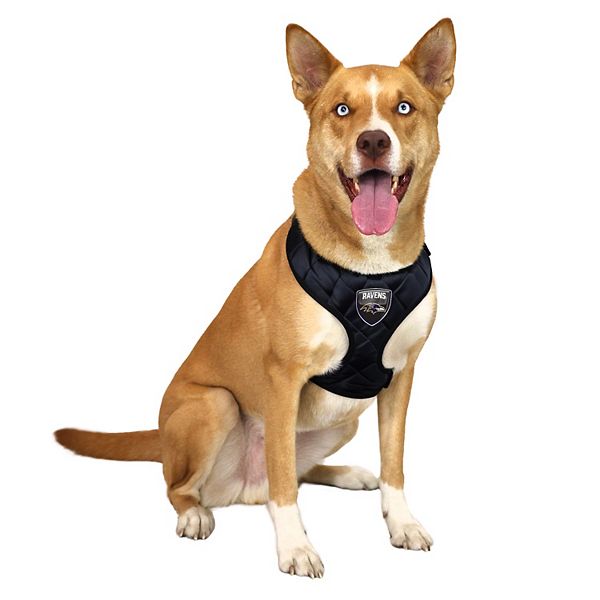 NFL Baltimore Ravens Pet Velvet Harness NFL