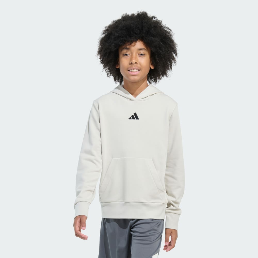 Long Sleeve Essentials Small Logo Pullover Hoodie Adidas