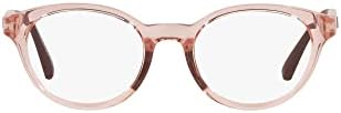 Emporio Armani Women's Ea3205 Round Sunglasses Emporio Armani