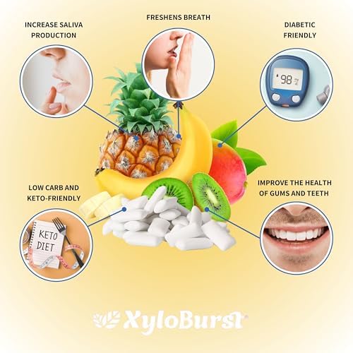 XyloBurst Gum | Xylitol Chewing Gum | Sugar Free, Gluten Free, Keto Friendly | Aspartame Free Gum For Oral Health | Bubble Gum | 100-Count Jar, Pack of 3 Xyloburst