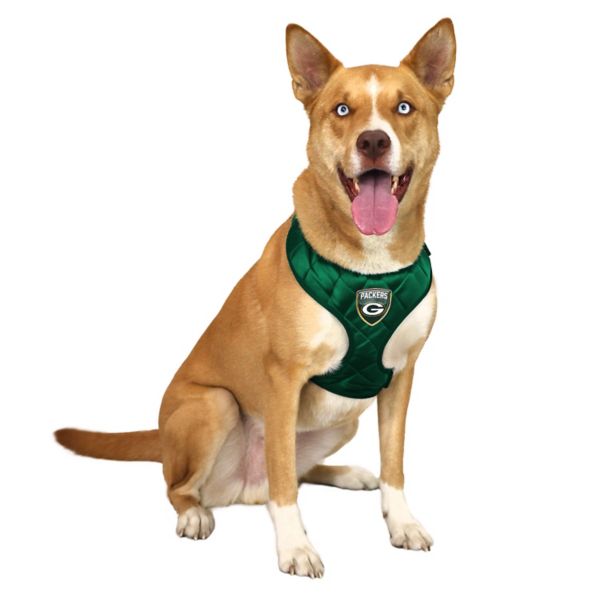 Little Earth NFL Green Bay Packers Velvet Pet Harness NFL