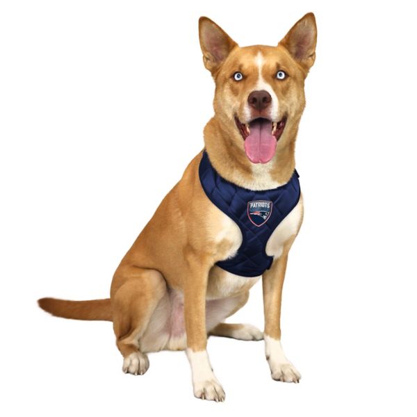 Little Earth NFL New England Patriots Velvet Pet Harness NFL