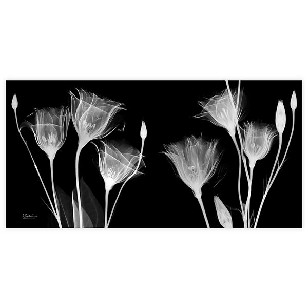 Empire Art Direct Gentian X-ray Tempered Frameless Glass Wall Art Empire Art Direct