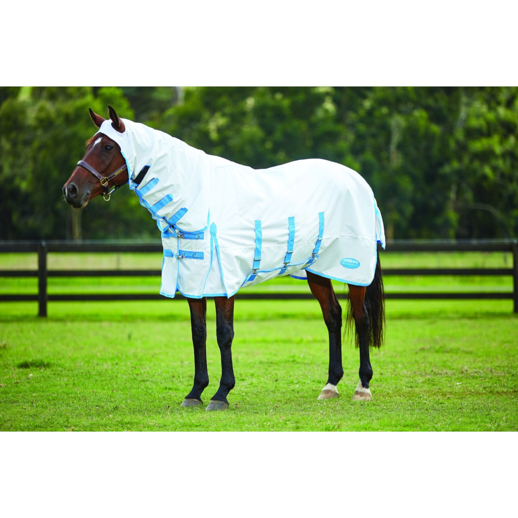 WeatherBeeta Comfitec Sweet Itch Shield Combo Neck Horse Blanket Weatherbeeta