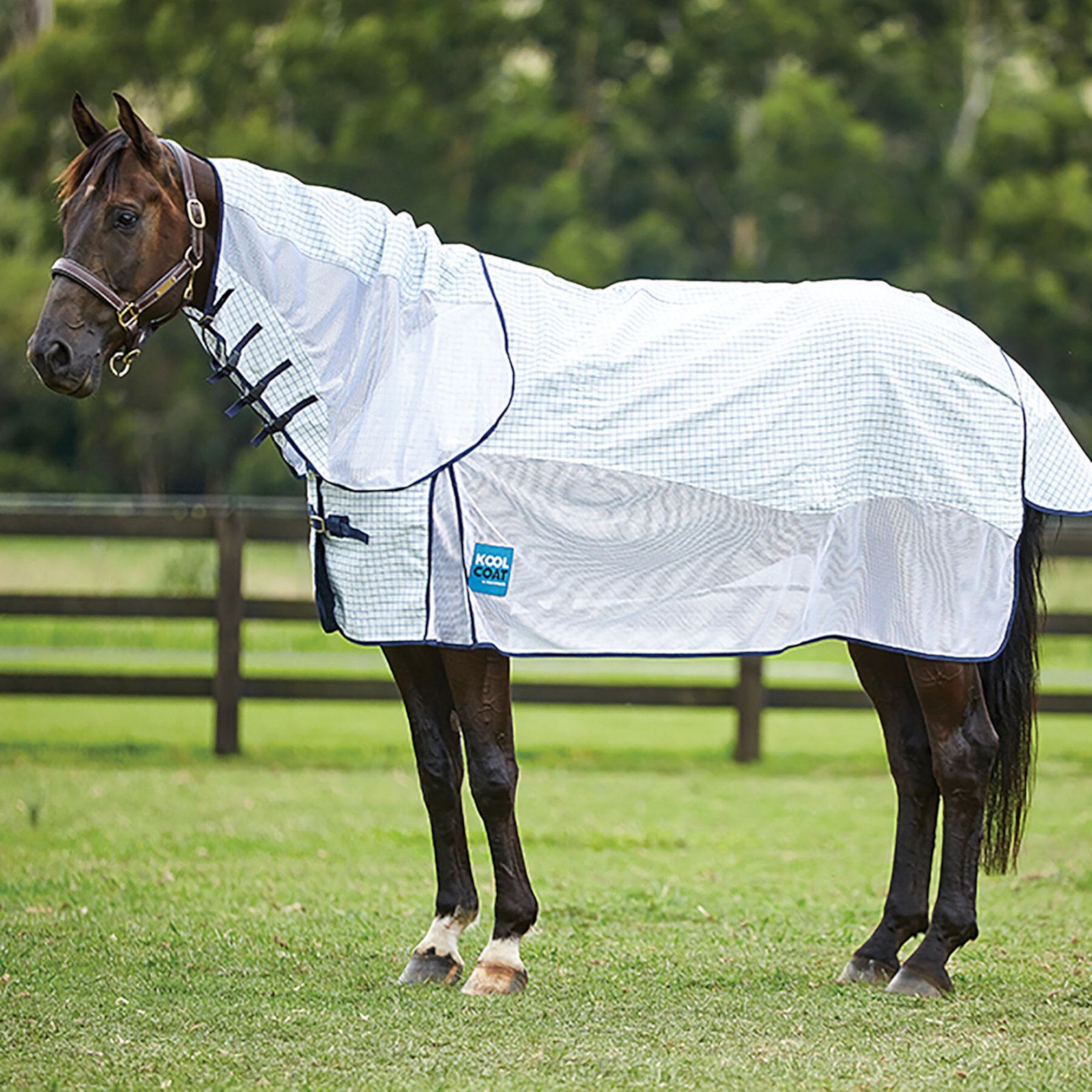 Kool Coat Airstream with Hidden Surcingle III Detach A Neck Horse Fly Sheet, White/Navy, 66-in Kool Coat