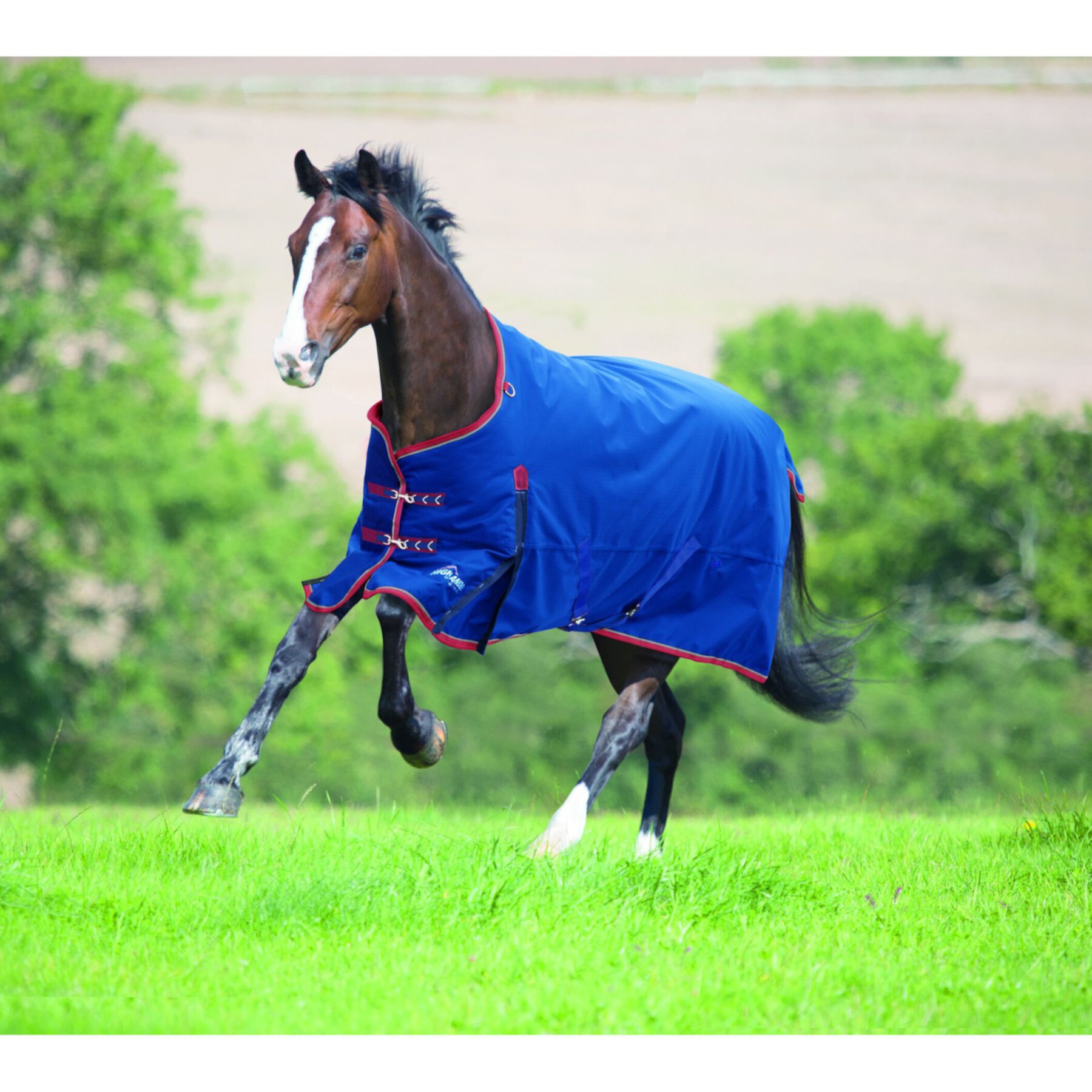 Shires Equestrian Products Highlander Plus TU Horse Blanket Shires Equestrian Products