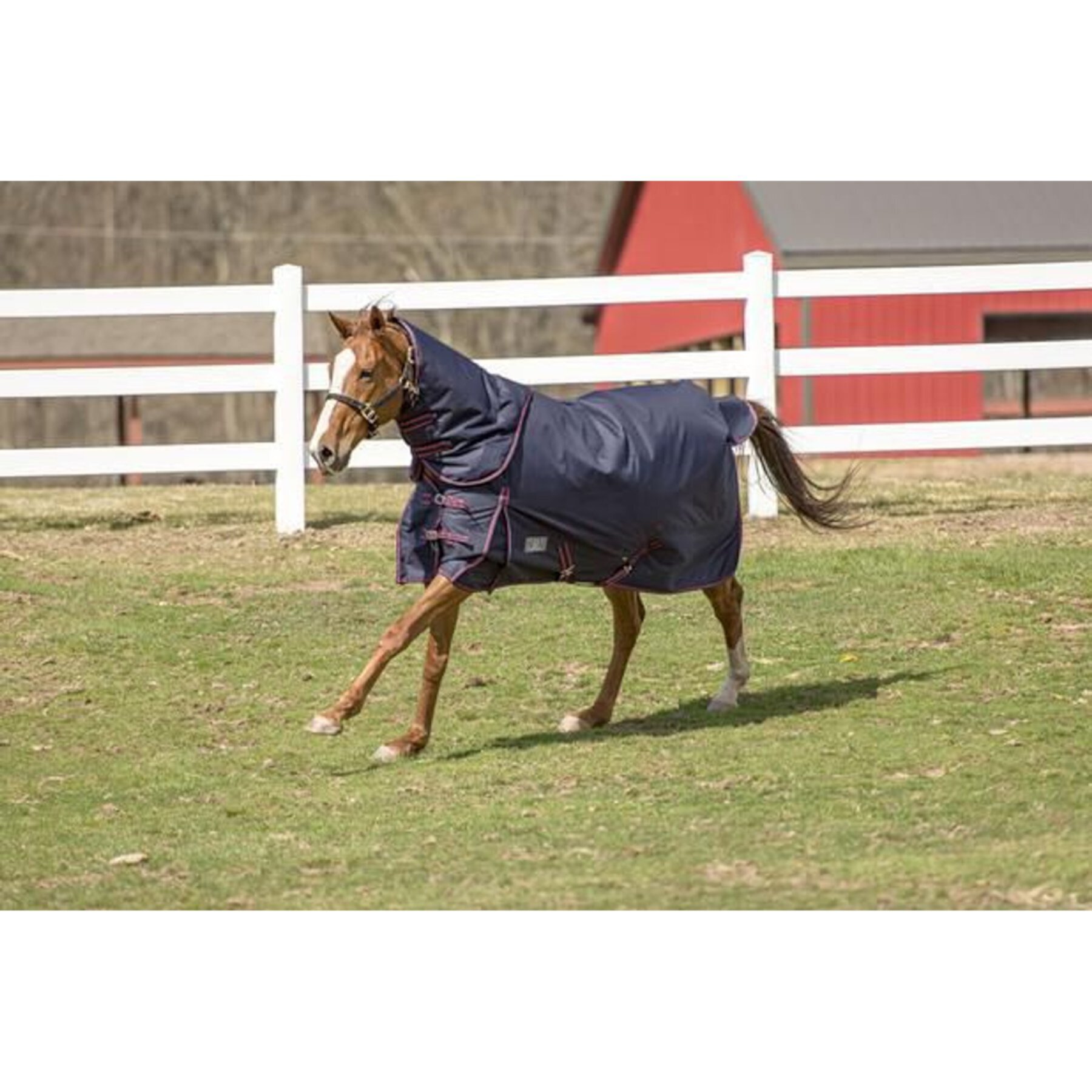 TuffRider Comfy Heavy Weight 350G Detachable Neck Winter Horse Blanket TuffRider