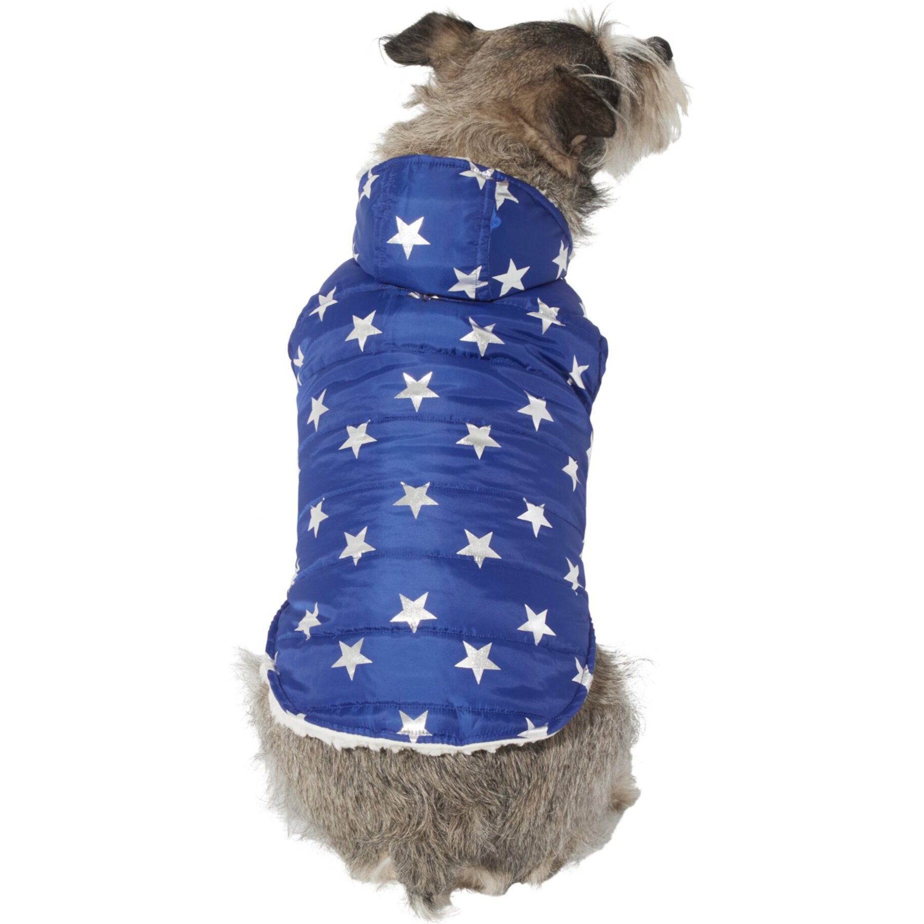 Frisco Mediumweight Metallic Star Print Insulated Dog & Cat Parka, Navy Frisco