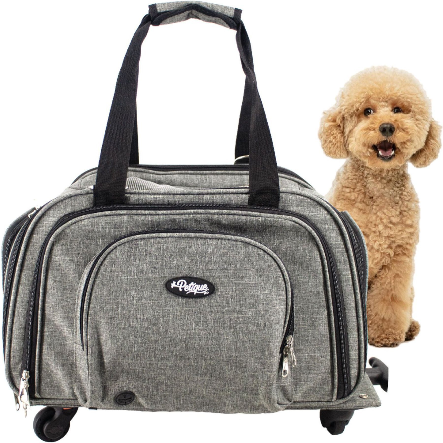 Petique Happy Camper Dog & Cat Carrier Petique