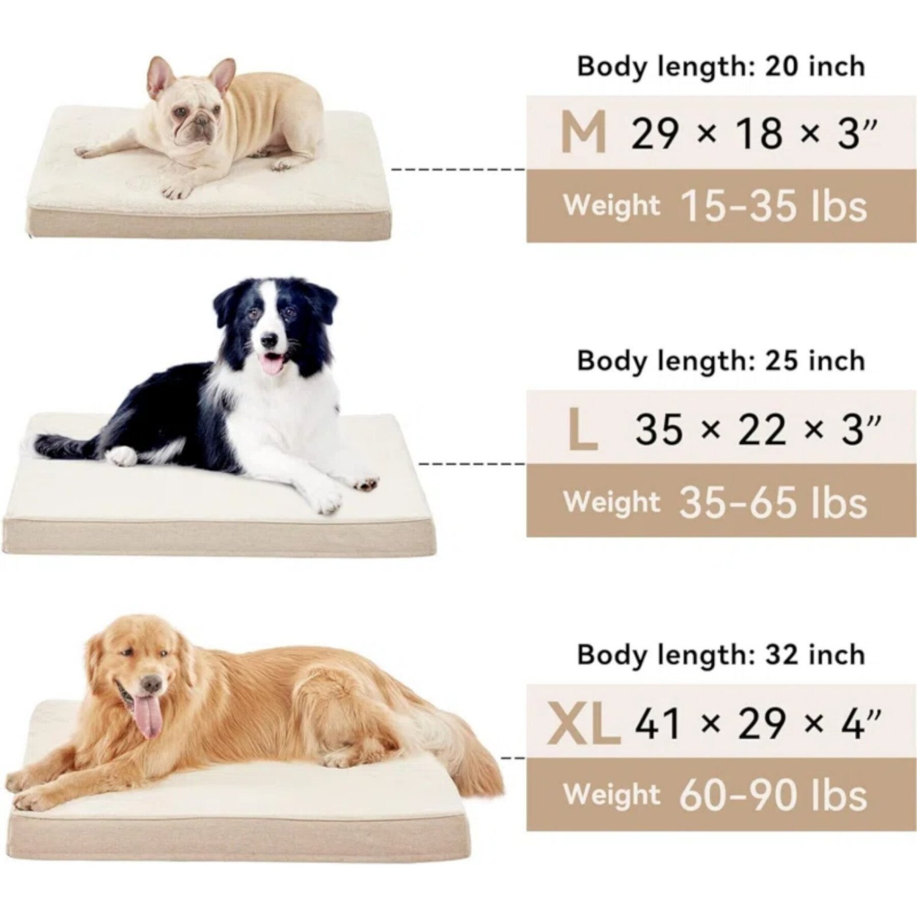 LFC PETS Ultra Comfort Memory Foam Dog & Cat Bed with Removable Cover LFC PETS