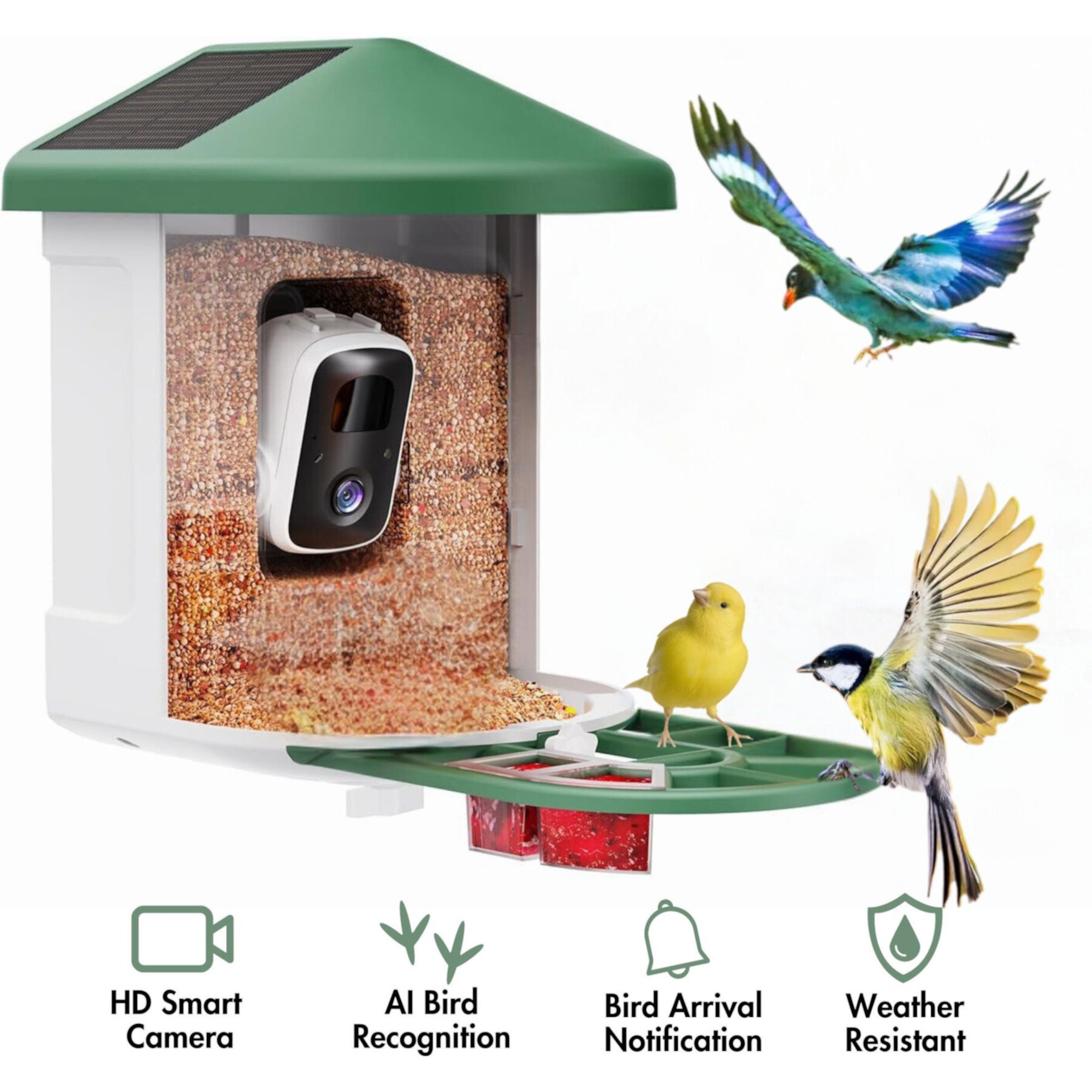 PawFurEver Gateway to Birdwatching Bliss AI Smart Wild Bird Feeder with Camera, Green PawFurEver