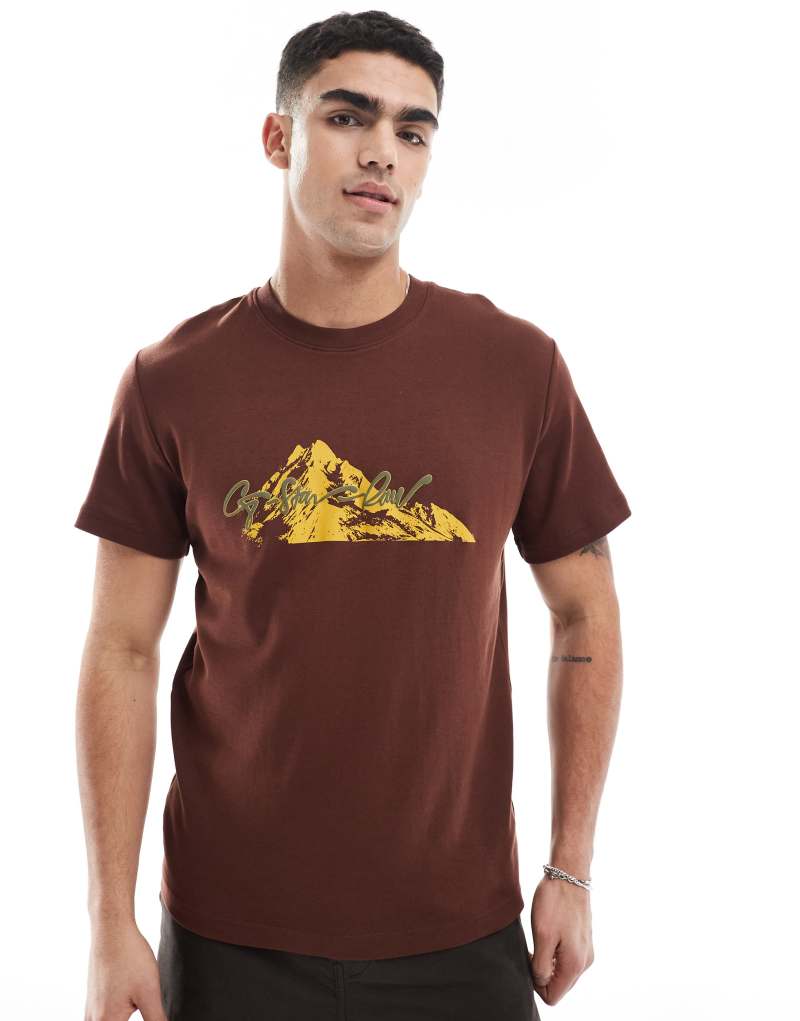 G-Star t-shirt in brown with summit print G-Star Raw