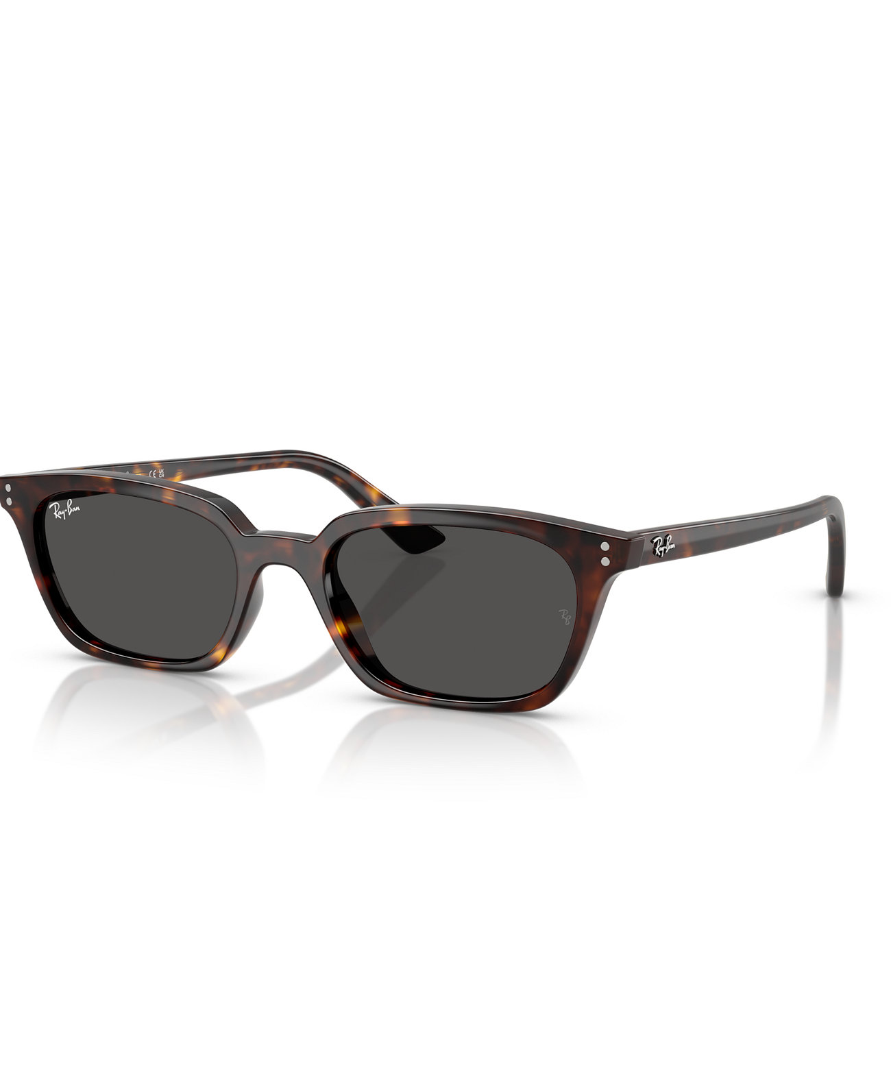 Unisex Zaya Polarized Sunglasses, RB4456 Ray-Ban