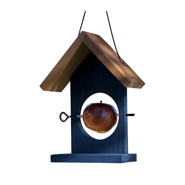 Woodlink Blue Wood Fruit Oriole Bird Feeders Woodlink