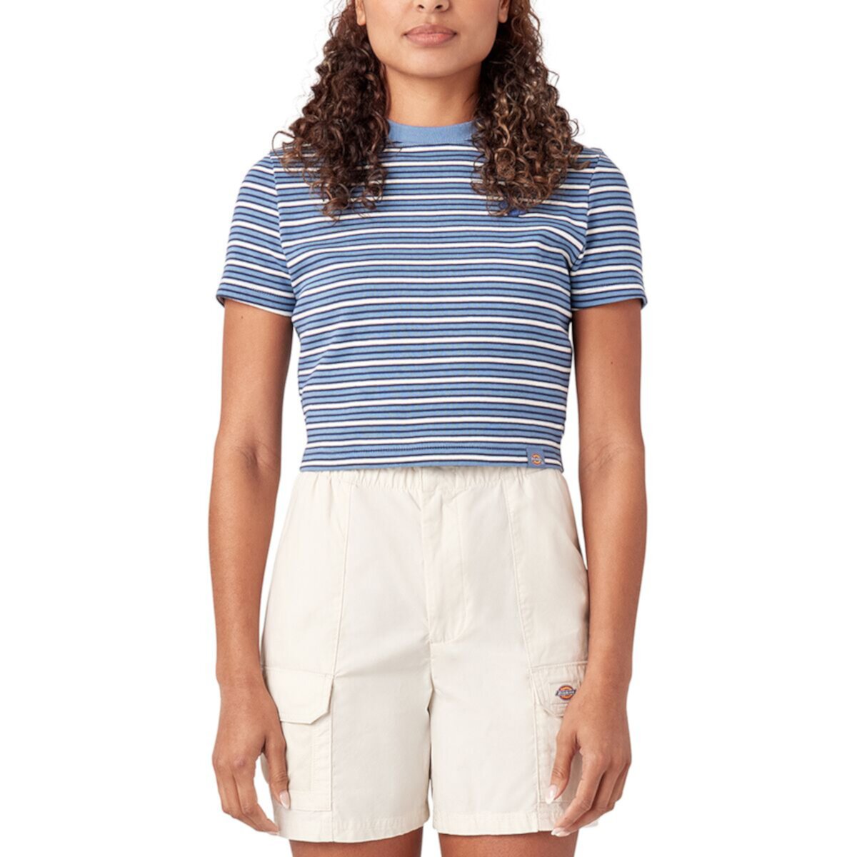 Altona Stripe T-Shirt Dickies