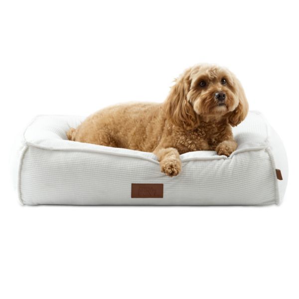 TCL Town & Country Luxe CuddleTown Cozy Bolster Pet Bed Tcl