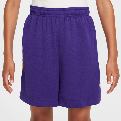 Nike Kobe Dri-FIT Fundamental Shorts Nike