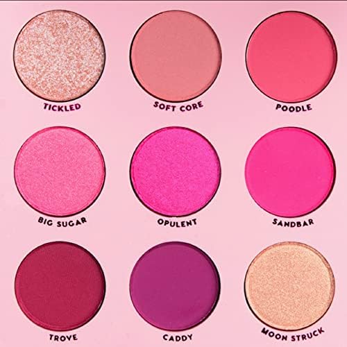 Colourpop Eyeshadow Palette OOH LA LA - Pink Monochromatic Shades, 0.3 Ounce, Powder Colourpop