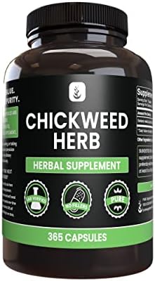 PURE ORIGINAL INGREDIENTS Chickweed Herb, (365 Capsules), No Magnesium Or Rice Fillers, Always Pure, Lab Verified Pure Original Ingredients