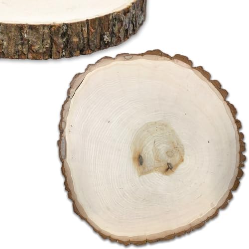 WILSON ENTERPRISES, INC Basswood Thick Round-7" to 9", Natural Wilson