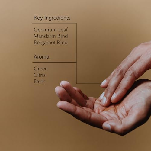 Aesop Geranium Leaf Body Cleanser | Invigorating Gentle Cleansing Gel | Green, Citrus, Fresh | 16.9 fl oz Aesop