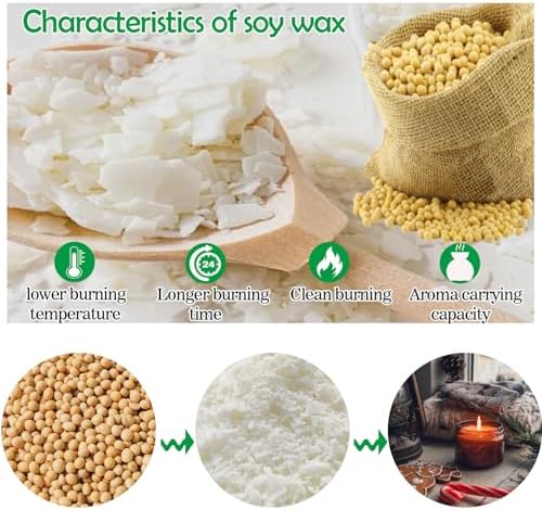 AHSNYLC Nature Soy Wax Flakes - DIY Pure Candle Making Soy Wax,Soy Wax Bulk, DIY Soy Candle Wax,Candle Making Soy Wax for Container Candles,Cup Wax,DIY Candle (420, Grams) AHSNYLC