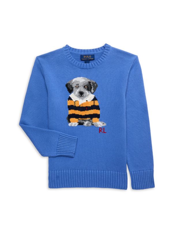 Boy's Graphic Cotton Sweater Polo Ralph Lauren