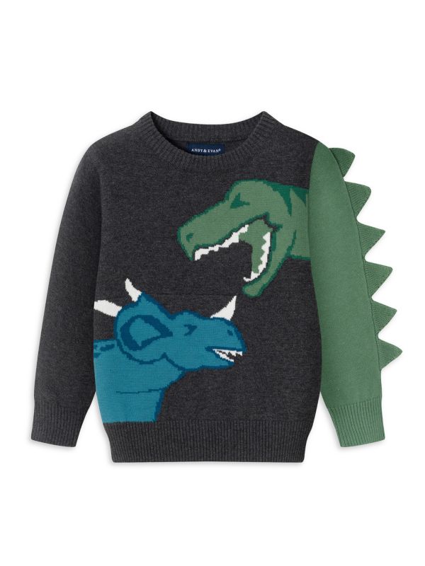 Little Boy's & Boy's Graphic Sweater Andy & Evan