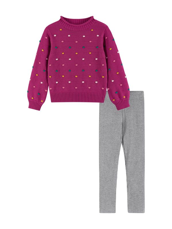 Little Girl's 2-Piece Sweater & Leggings Set Andy & Evan