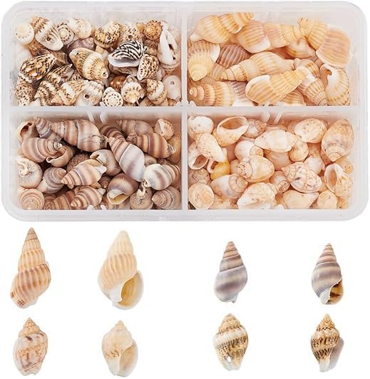 PandaHall About 70g/330pcs 4 Styles Spiral Shells, Ocean Beach Conch Seashells with Hole and No Hole for Bracelet Jewelry, Craft, Home Decoration, Fish Tank and Vase Filler PH PandaHall