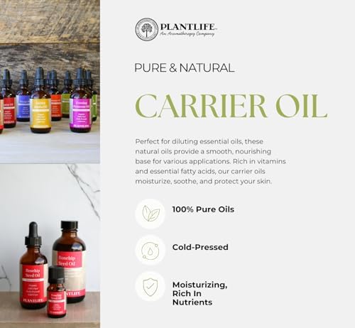 Plantlife Apricot Kernel Carrier Oil - Cold Pressed, Non-GMO, and Gluten Free Carrier Oils - For Skin, Hair, and Personal Care - 2 oz Plantlife